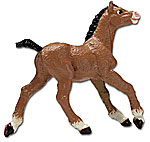 clydesdale colt.jpg